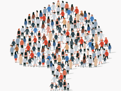 Kolibri von Robin Schmid