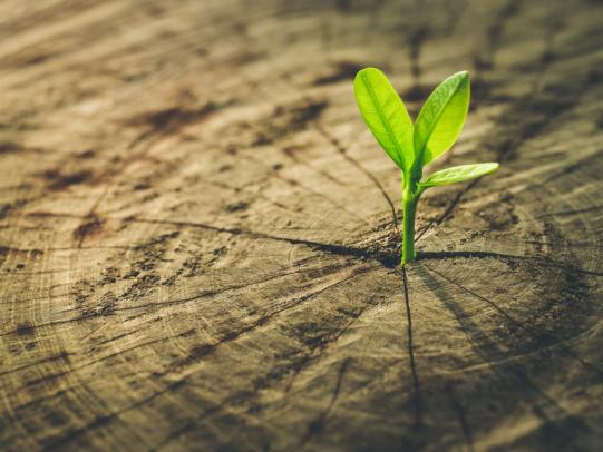 Auftakt zu Neuem oder Bewährtes bewahren?